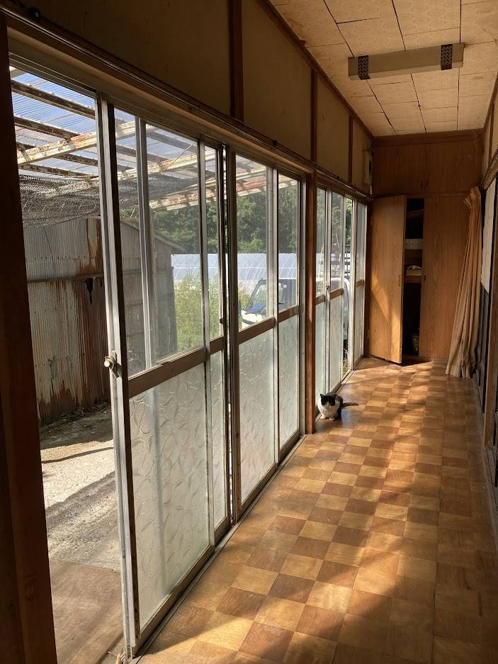 NCCトーヨー住器 諏訪店の猫ちゃんも大満足な内窓工事をしました!の施工前の写真1