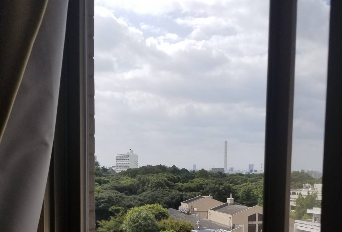 かとうがらすてん 大森山王のガラスの交換 網入りガラス→網なし防火ガラスの施工後の写真1