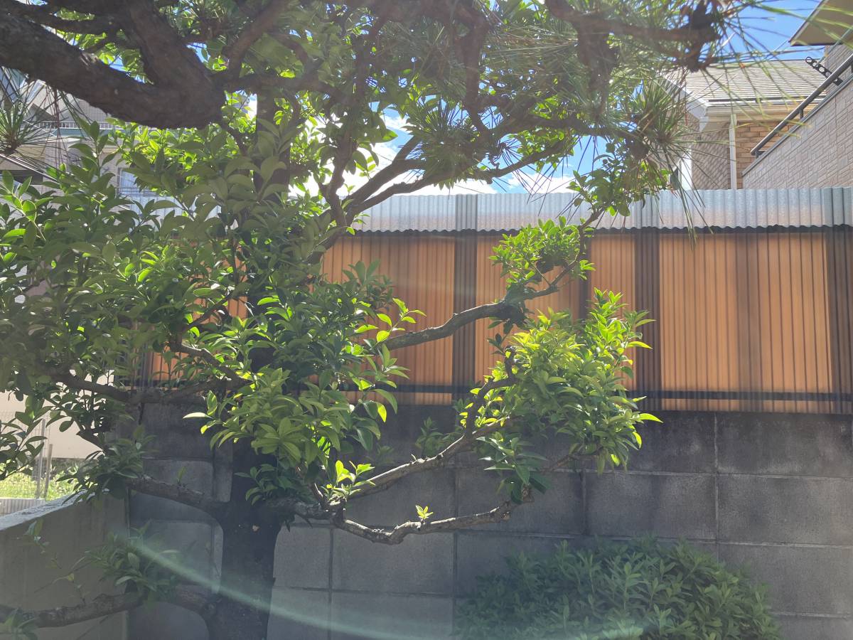 かとうがらすてん 大森山王の【東京都 大田区】古くなった目隠しを隠す為の目隠し取付工事の施工後の写真2