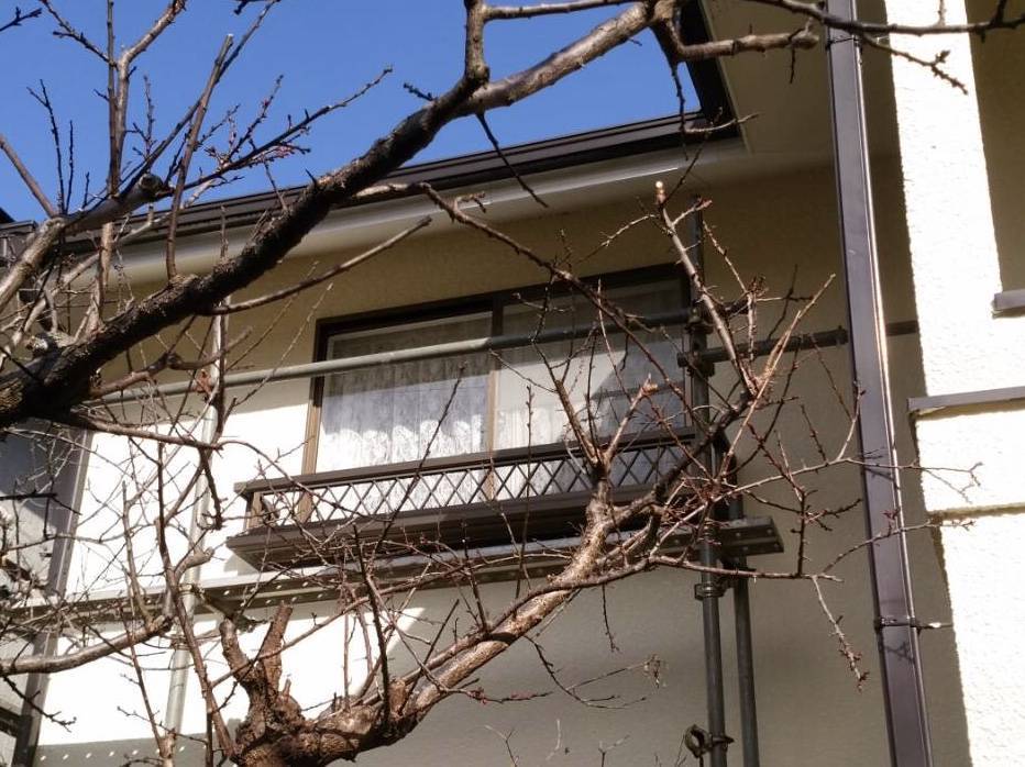 大成トーヨー住器のリフォーム雨戸|雨戸一筋|雨戸のない所に取付|短時間で完了するカンタン施工|防犯・防災対策の施工前の写真1